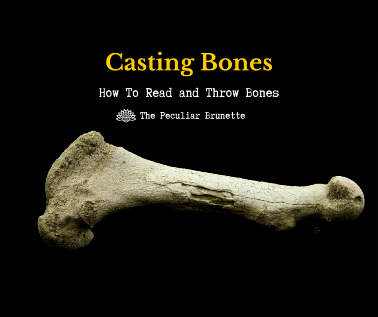 Casting Bones How To Read and Throw Bones