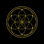 Seed Of Life Meaning and Secrets
