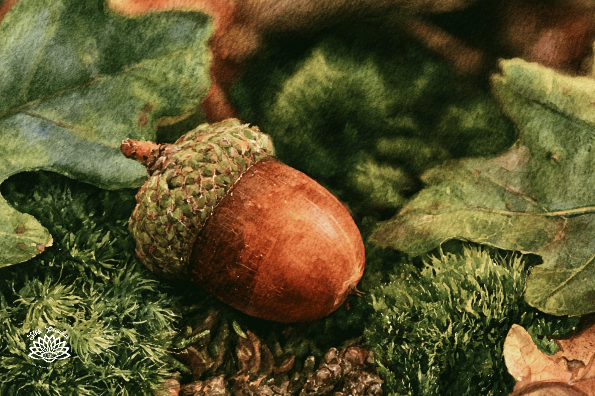 Did Ancient Pagans Celebrate the Autumn Equinox; image of a watercolor acorn on a few fallen oak leaves and moss.