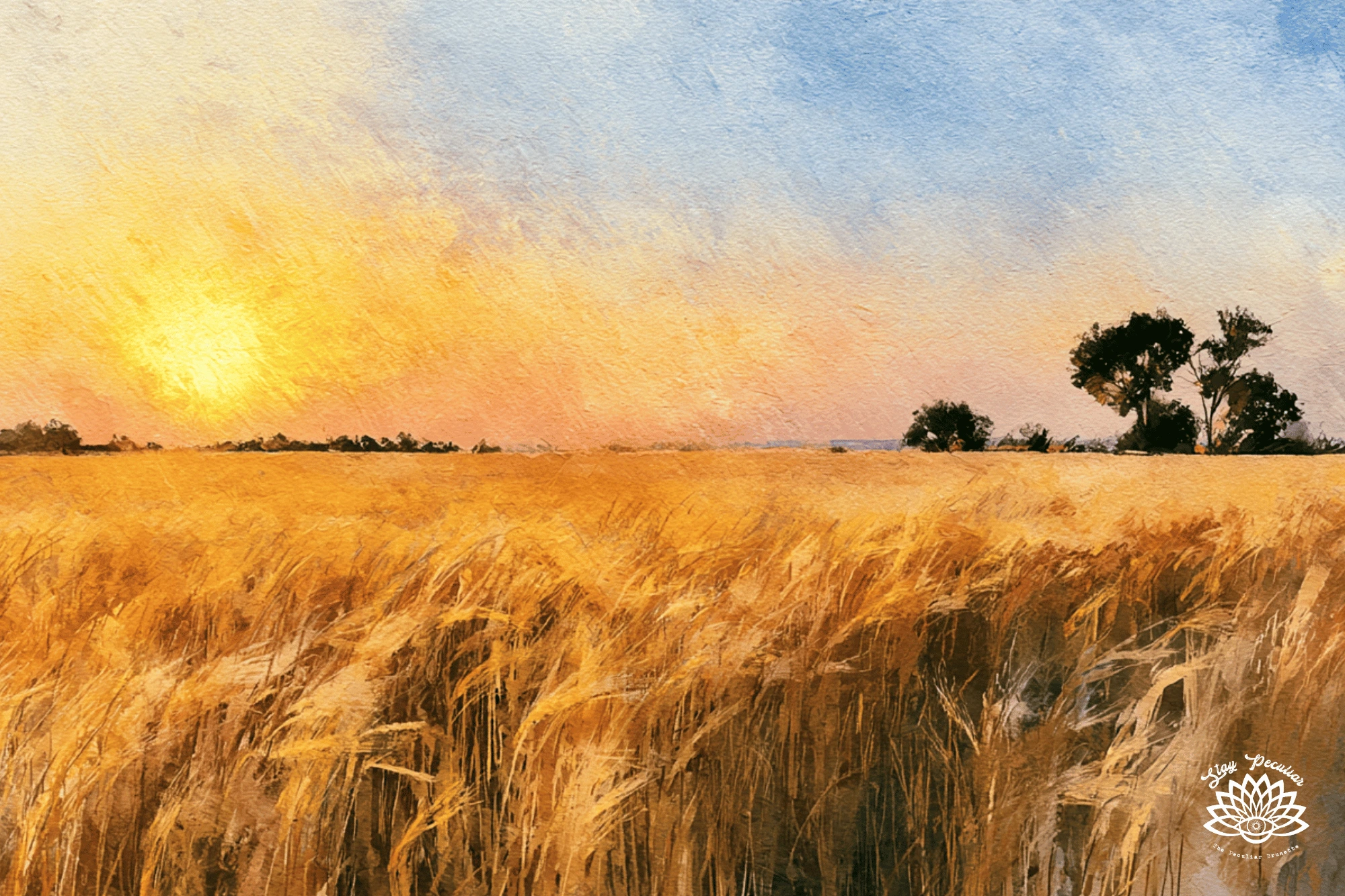When is Lughnasadh; image of wheat field during late summer at sunset. The wheat sways in the breeze.