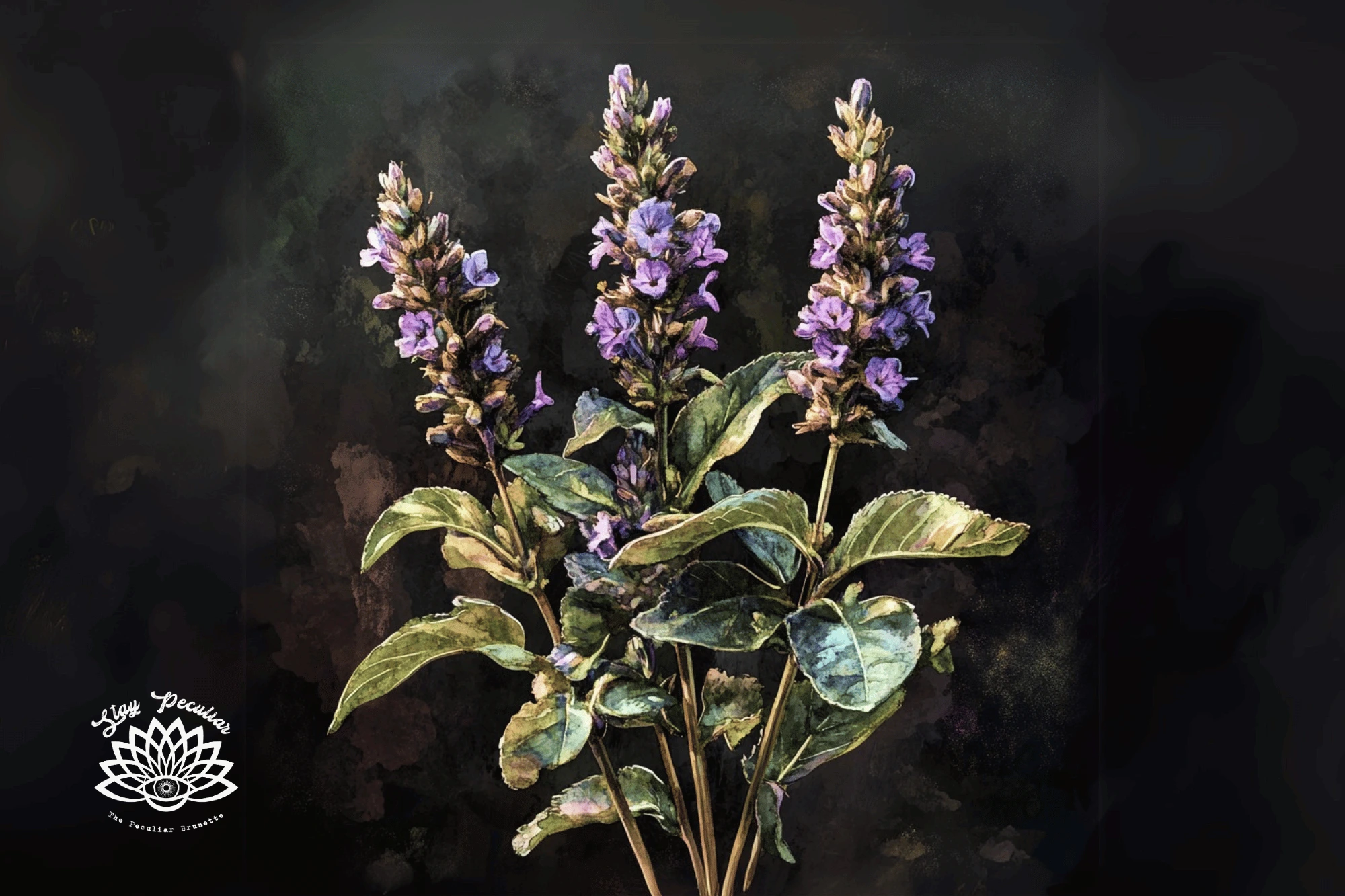 Which Witchcraft Herbs Correspondences are Correct